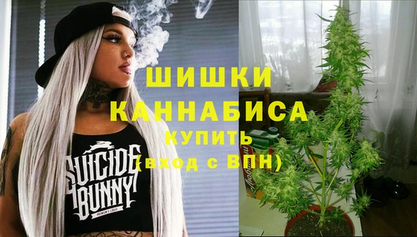 соль ск Арсеньев