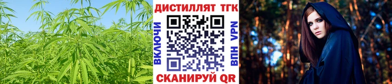 Дистиллят ТГК концентрат  ОМГ ОМГ сайт  Мураши 