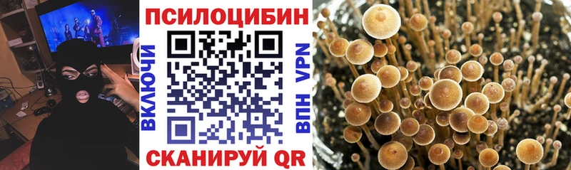 купить наркоту  Мураши  Псилоцибиновые грибы ЛСД 